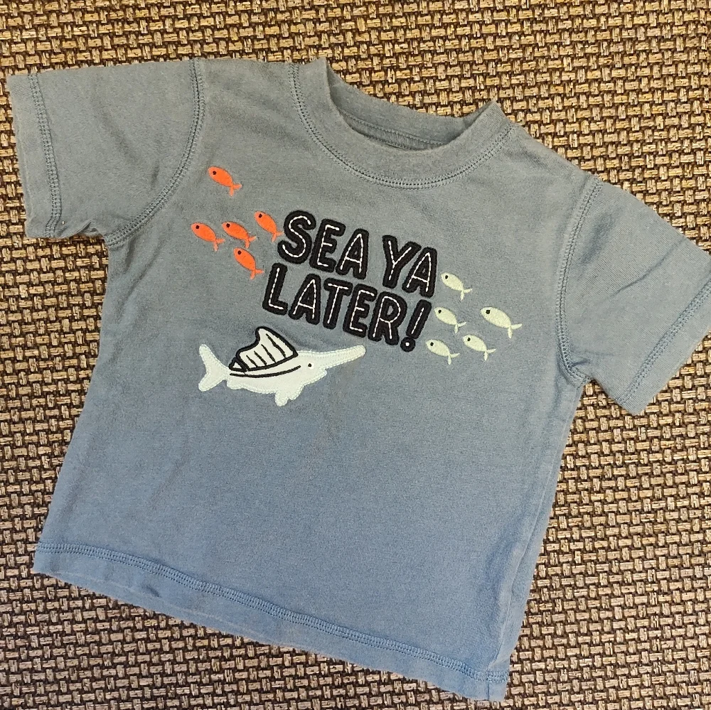 Gymboree Boys Set of 3 Graphic T-Shirts